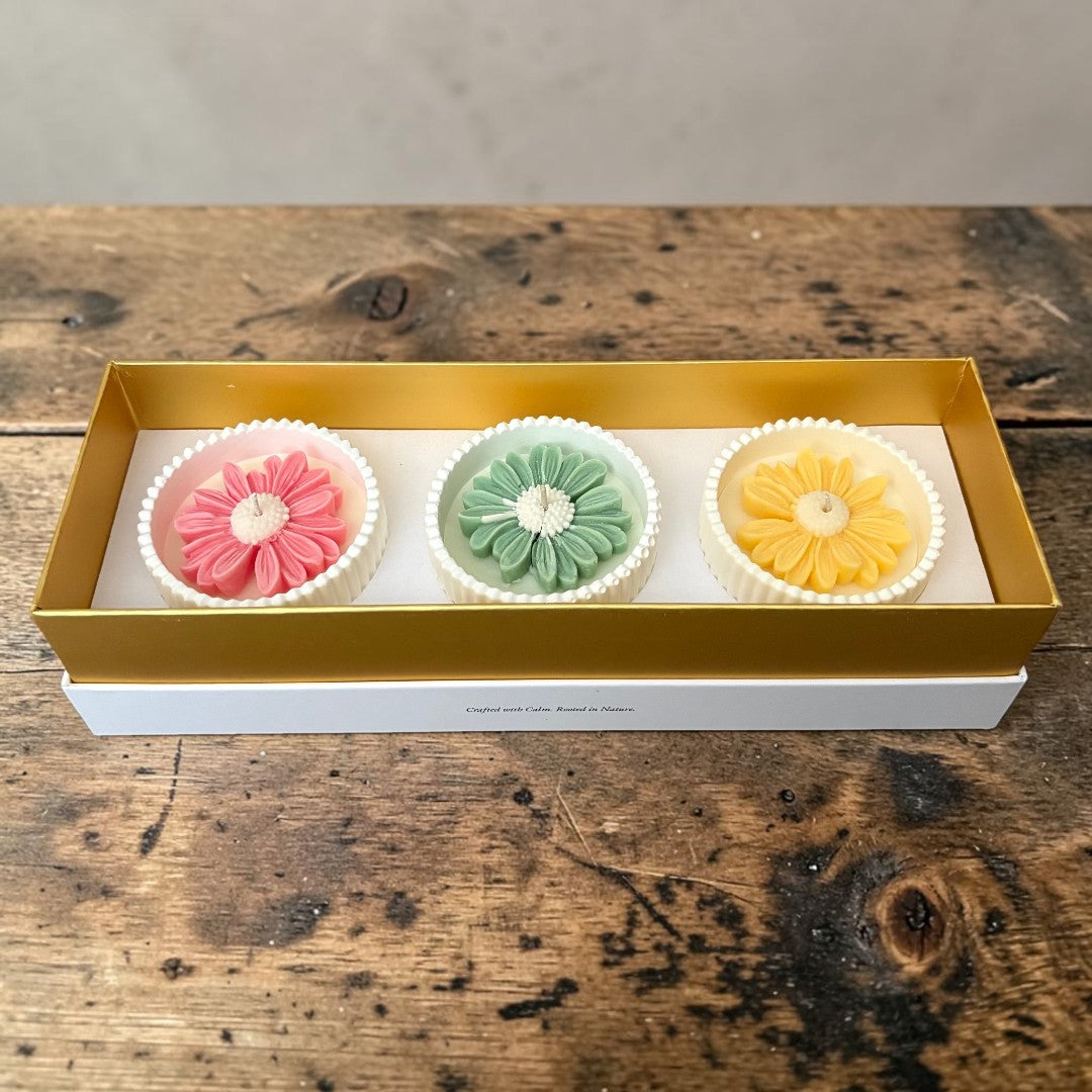 Build Your Petite Daisy Trio