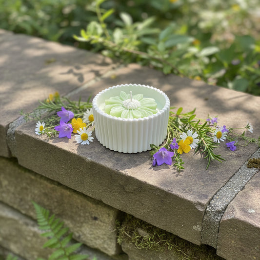 Blush Rose – Petite Candle (Green Daisy)