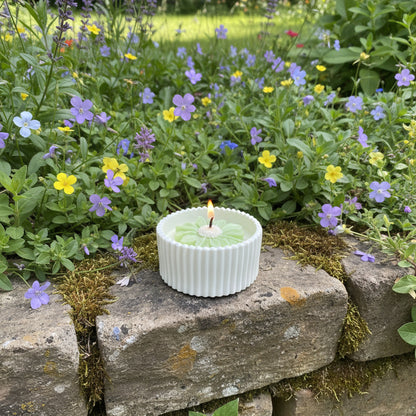 Blush Rose – Petite Candle (Green Daisy)