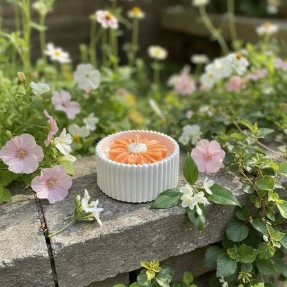 Moonlit Jasmine – Petite Candle (Orange Daisy)